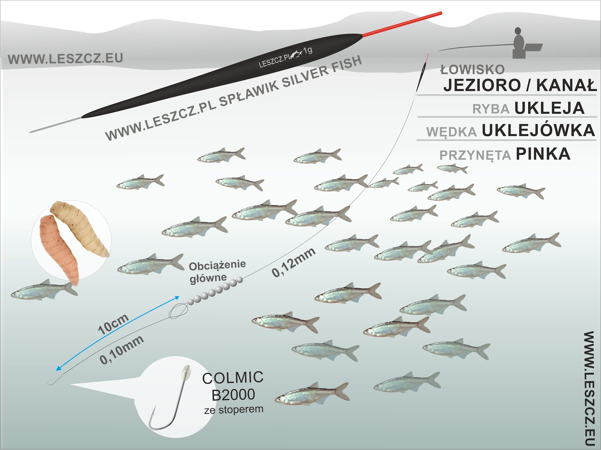 WWW.LESZCZ.PL ZESTAW 348 - SPŁAWIK SILVER FISH - DUŻO RYB