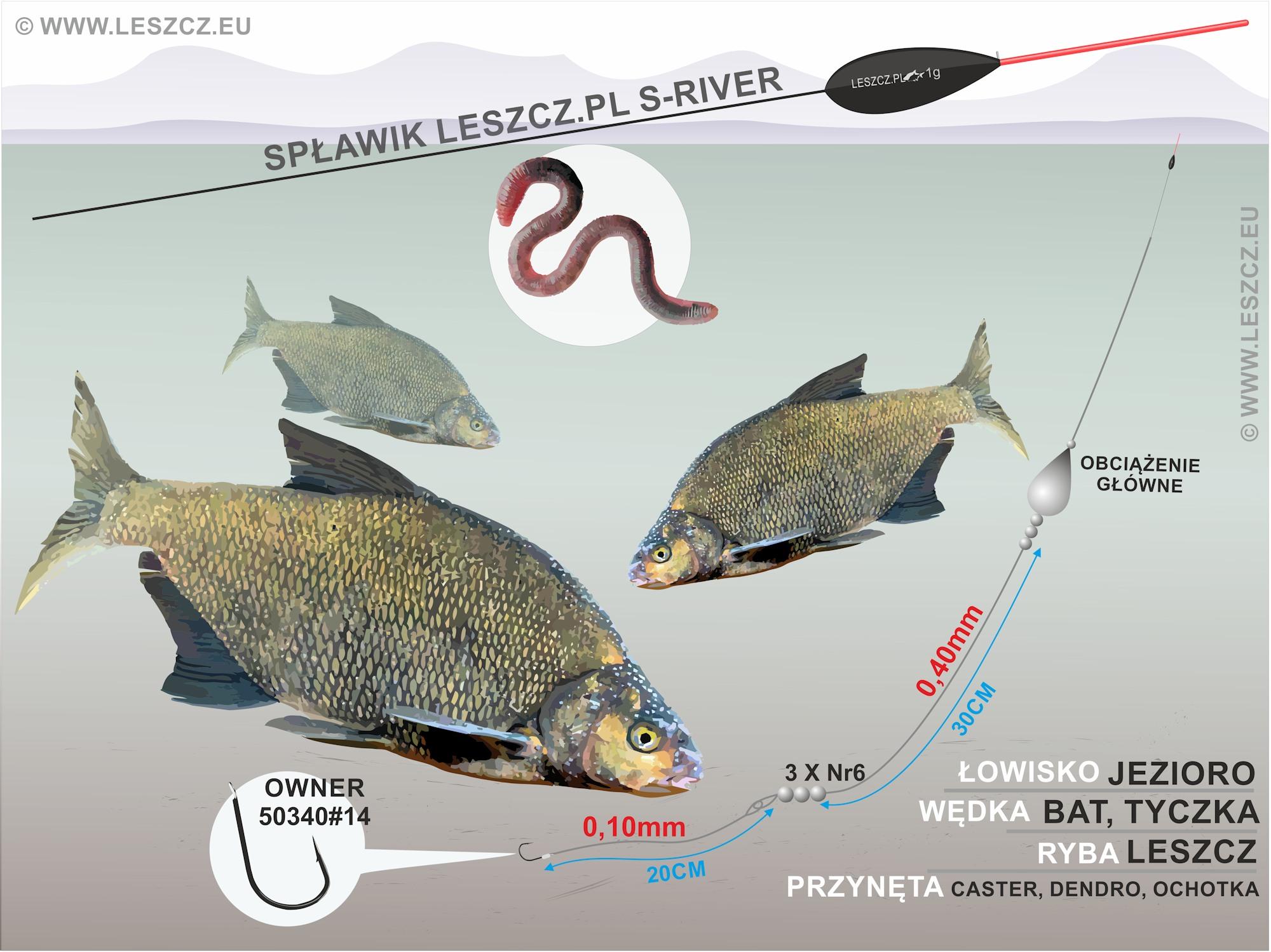 Zestaw na leszcza, na dendrobenę, lub czerwonego robaka. Spławik S-River